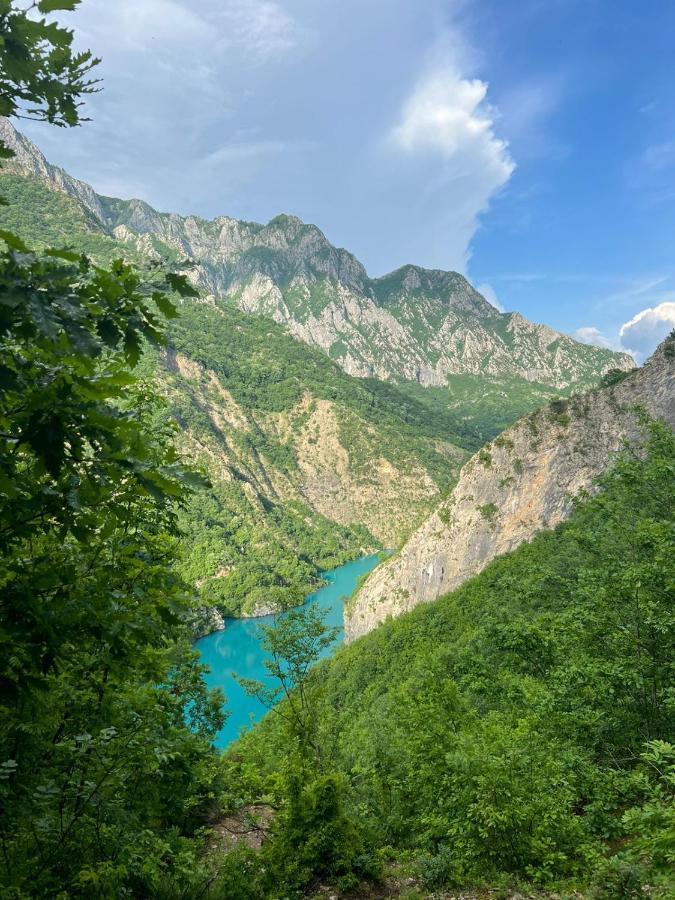 Neomalsore Agrotourism, Komani Lake Exterior foto
