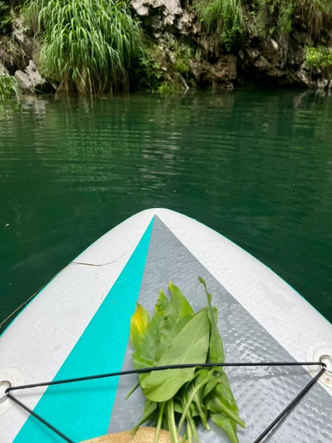 Neomalsore Agrotourism, Komani Lake Exterior foto